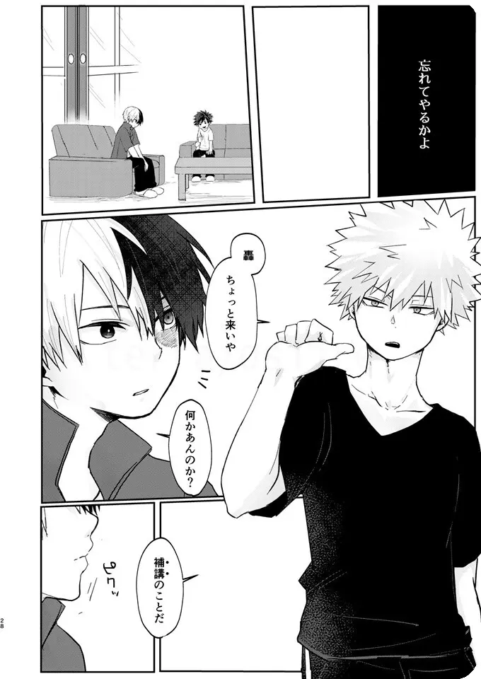 透明バイパス - page26
