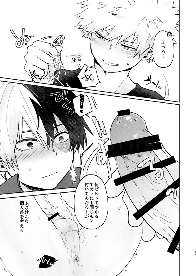透明バイパス - page35