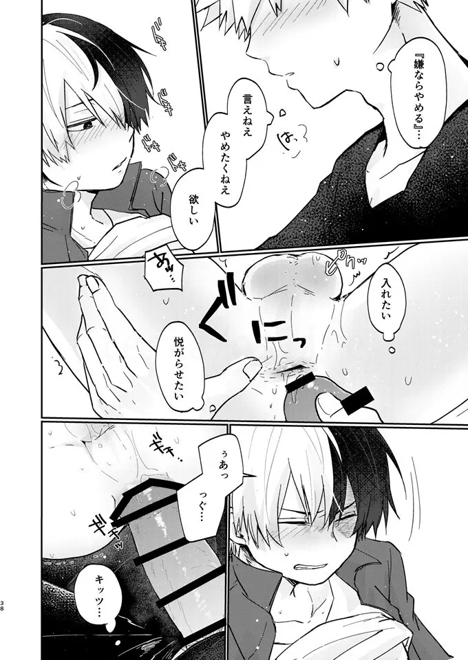 透明バイパス - page36