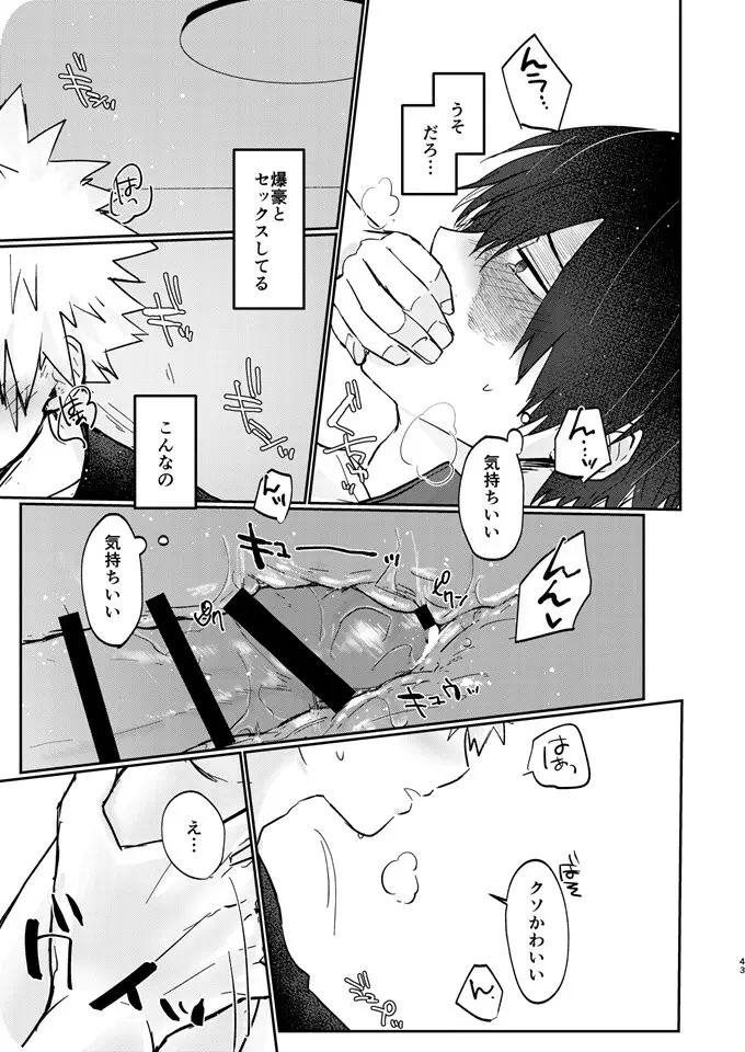 透明バイパス - page41