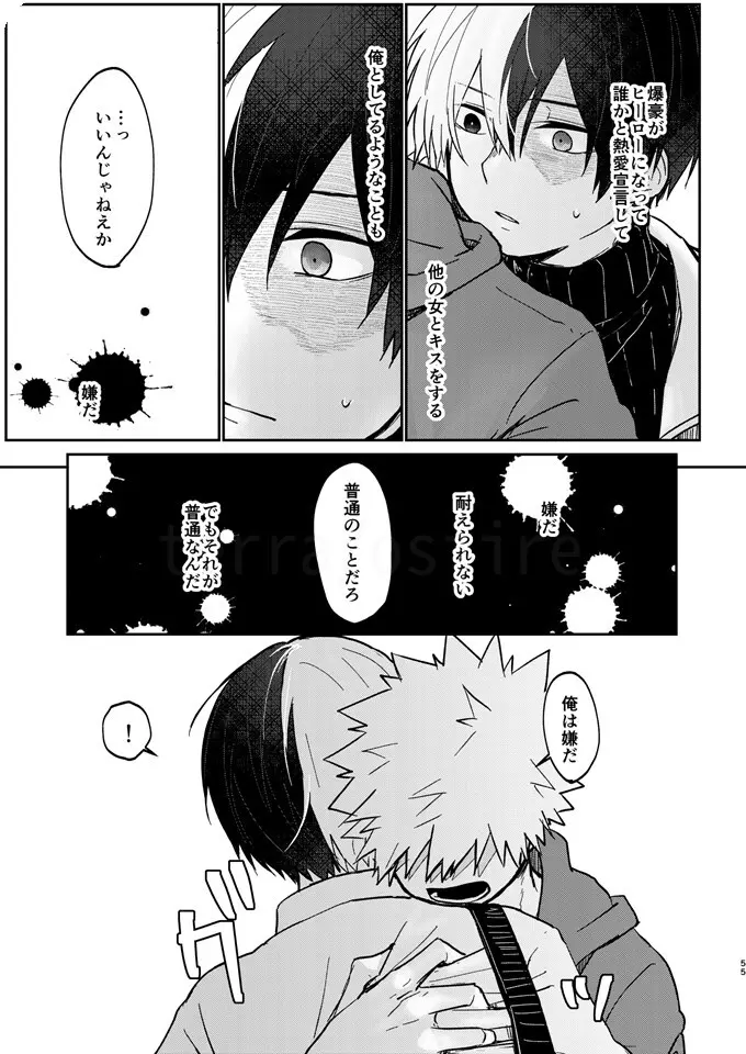 透明バイパス - page53