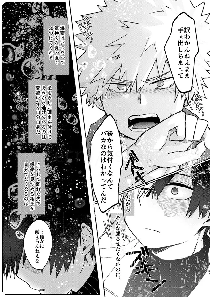 透明バイパス - page55