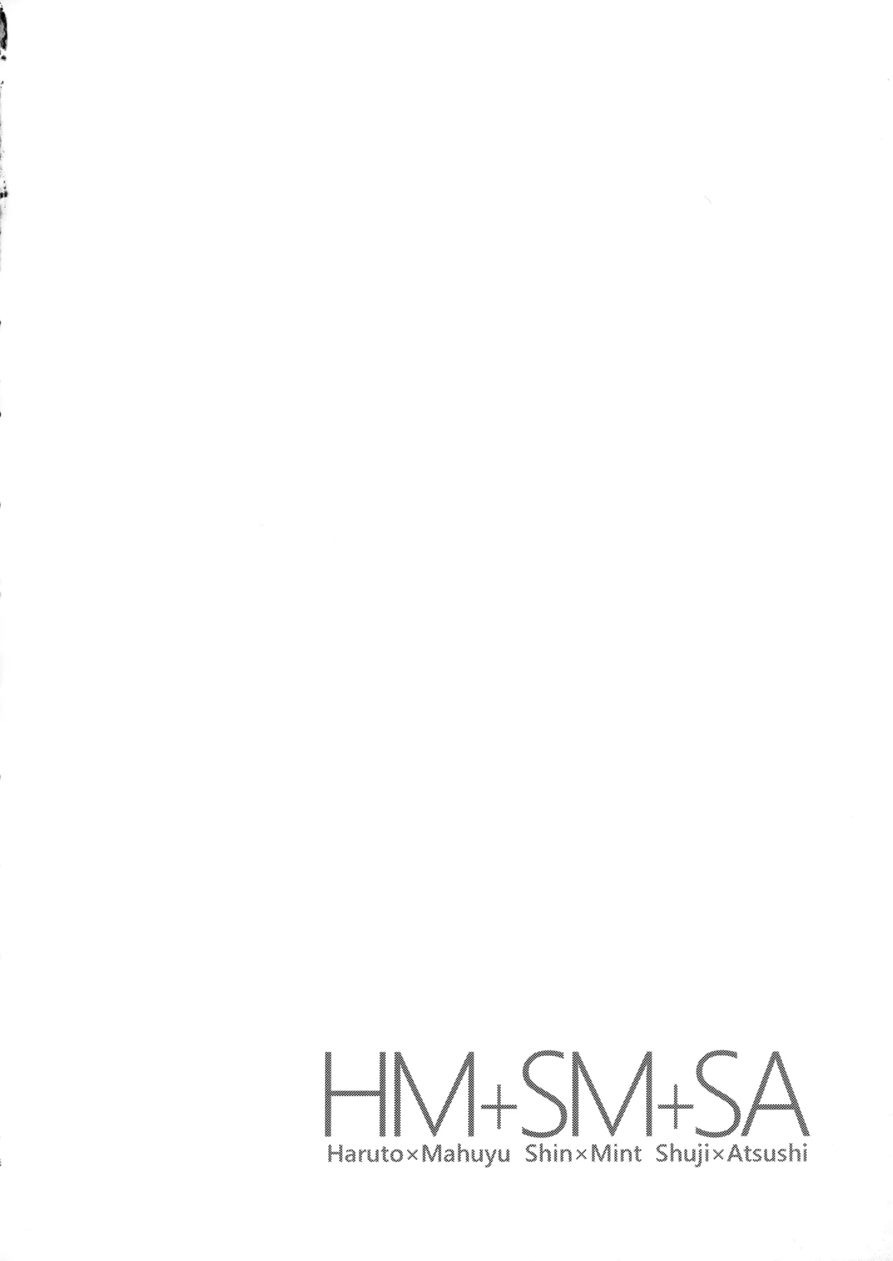 HM+SM+SA - page3