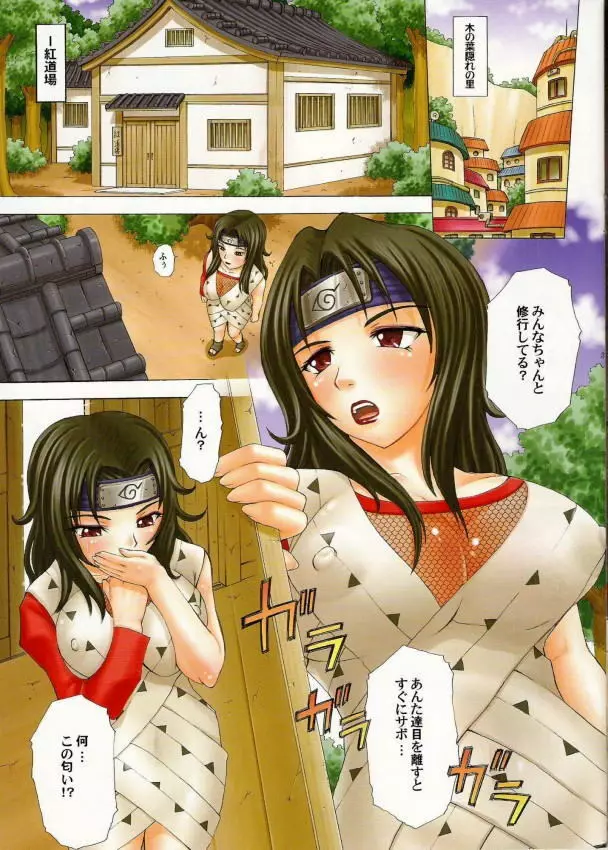 ParM SpeciaL 2 淫忍修行 - page3