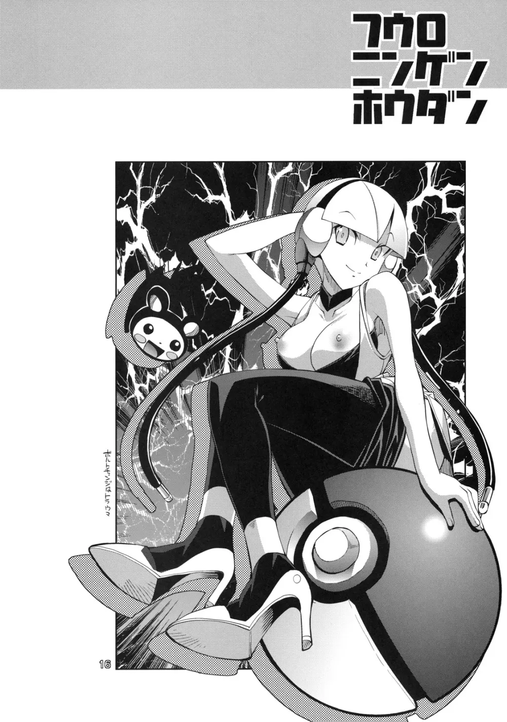 フウロニンゲンホウダン - page14