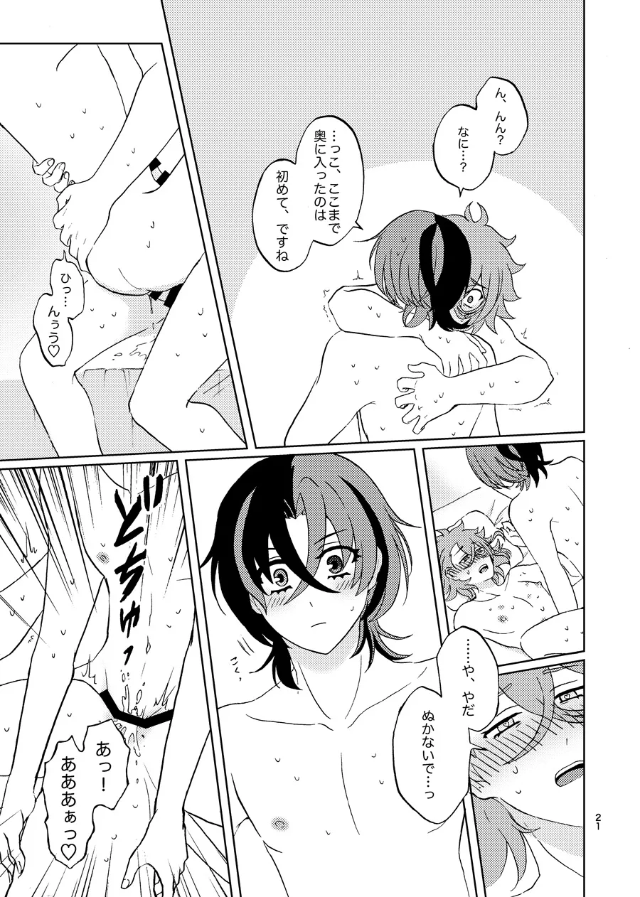 めちゃくちゃにしてと言われてもっ！ - page20