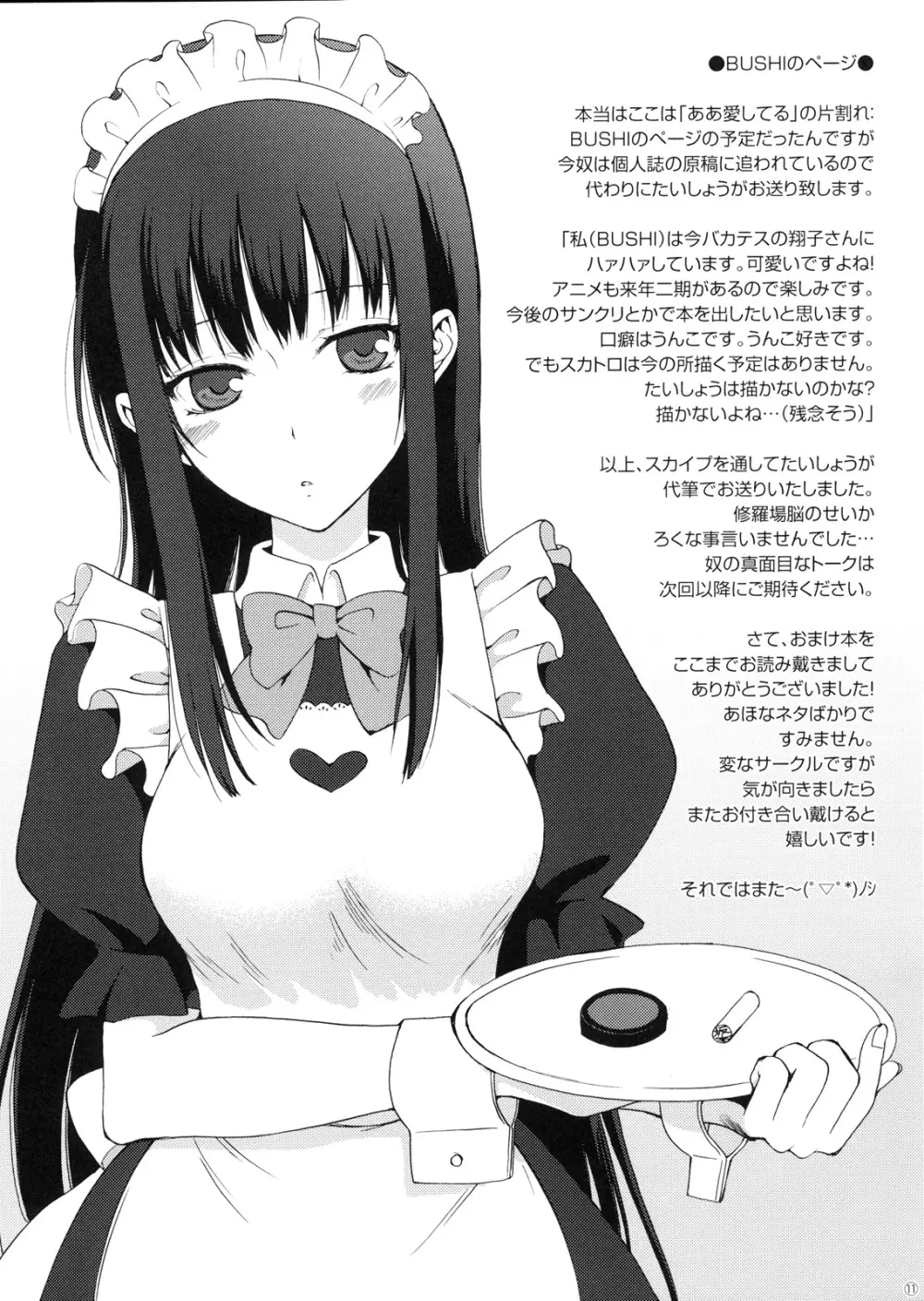 C79のおまけ本 - page11