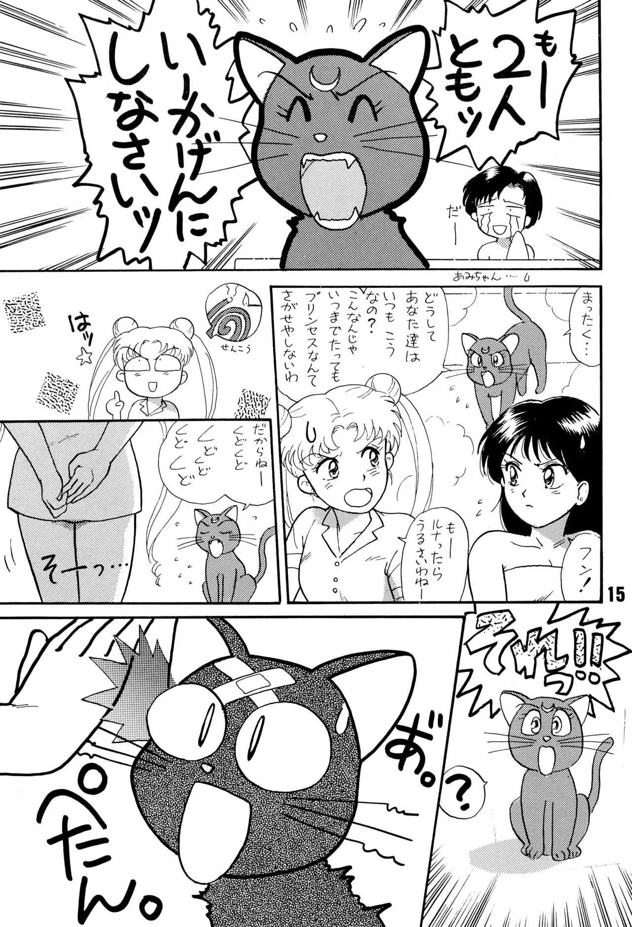 セーラームーン人生 - page15