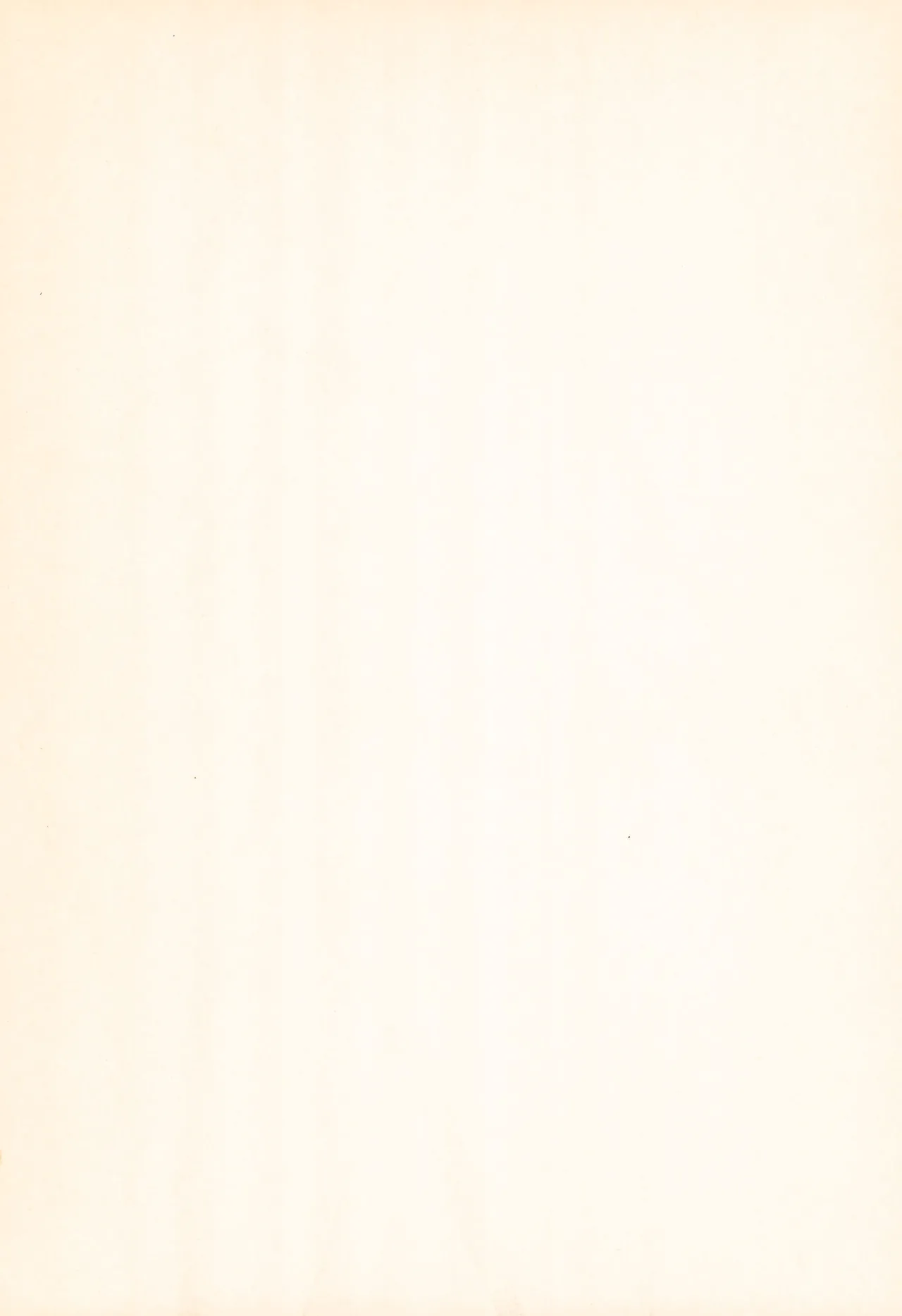 セーラームーン人生 - page2