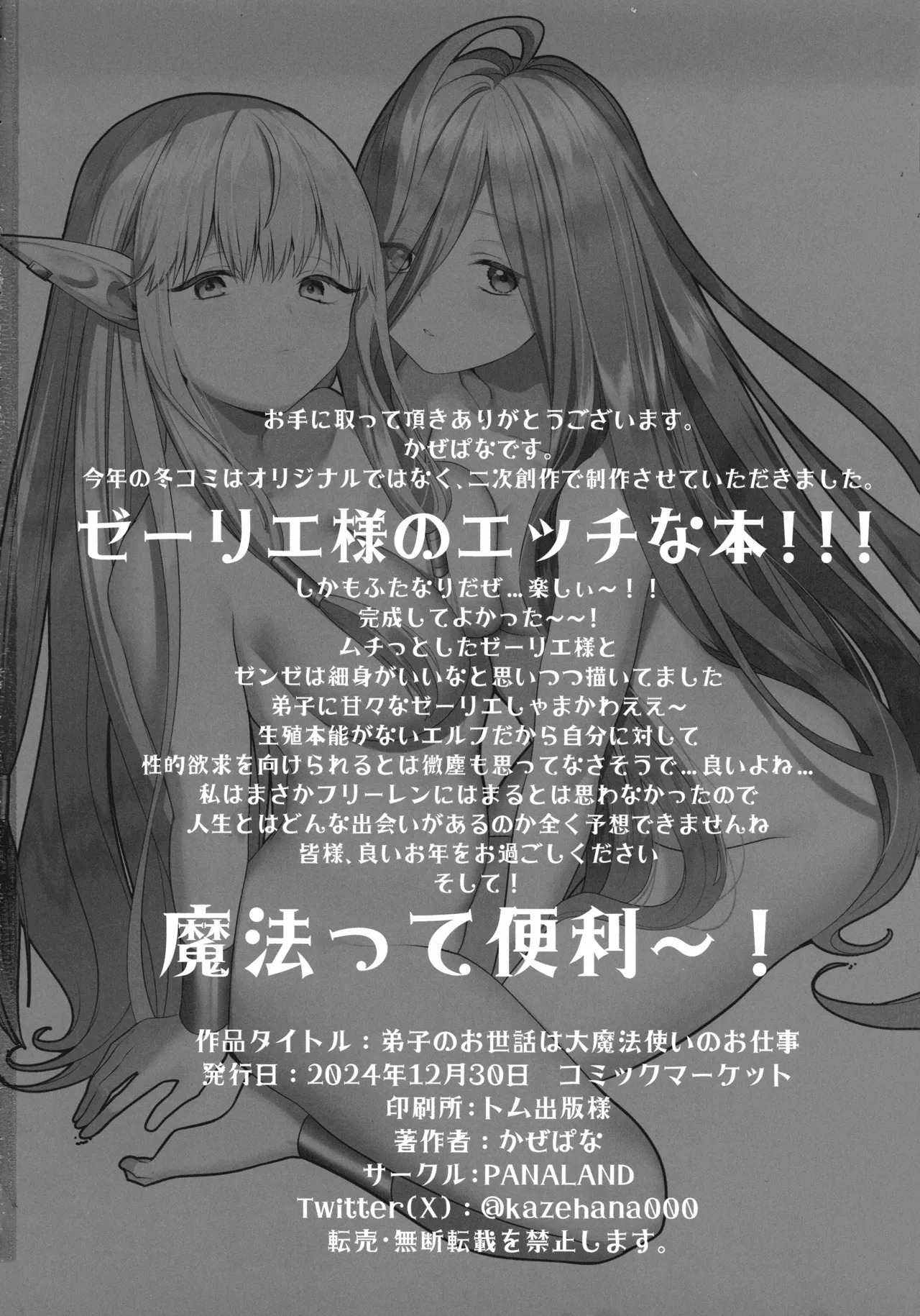弟子のお世話は大魔法使いのお仕事 - page29