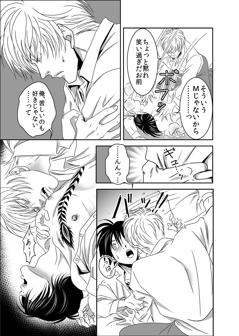 黒孔雀は囚われる。 SIDE-S - page19