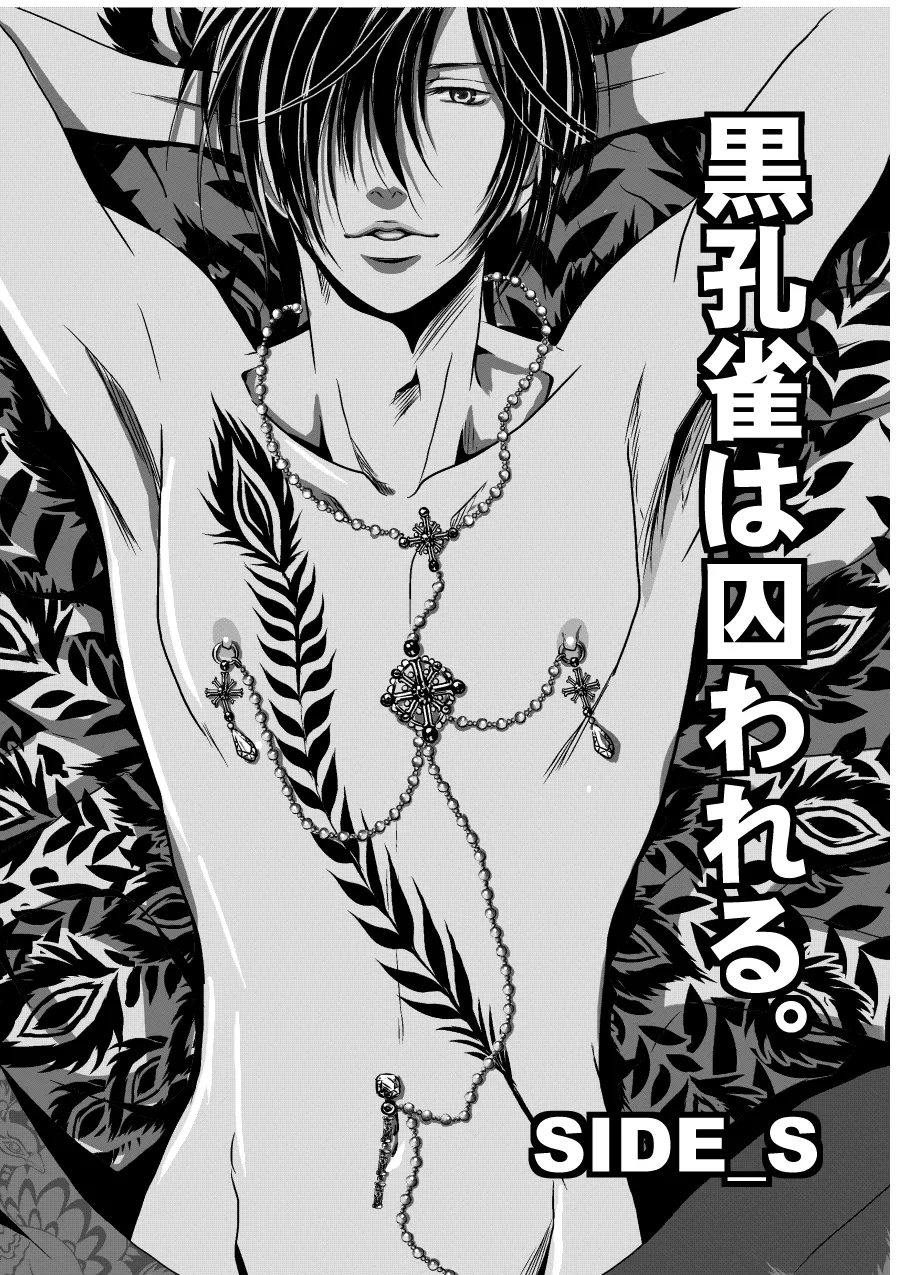 黒孔雀は囚われる。 SIDE-S - page6