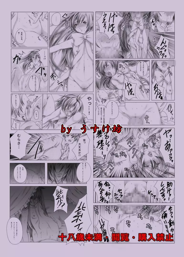 紅徒花 ～令嬢処女喪失・輪姦調教～ - page18