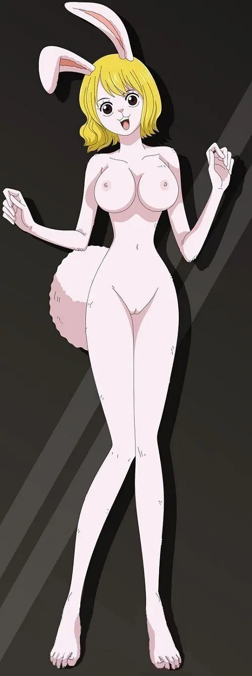 one piece fav - page9