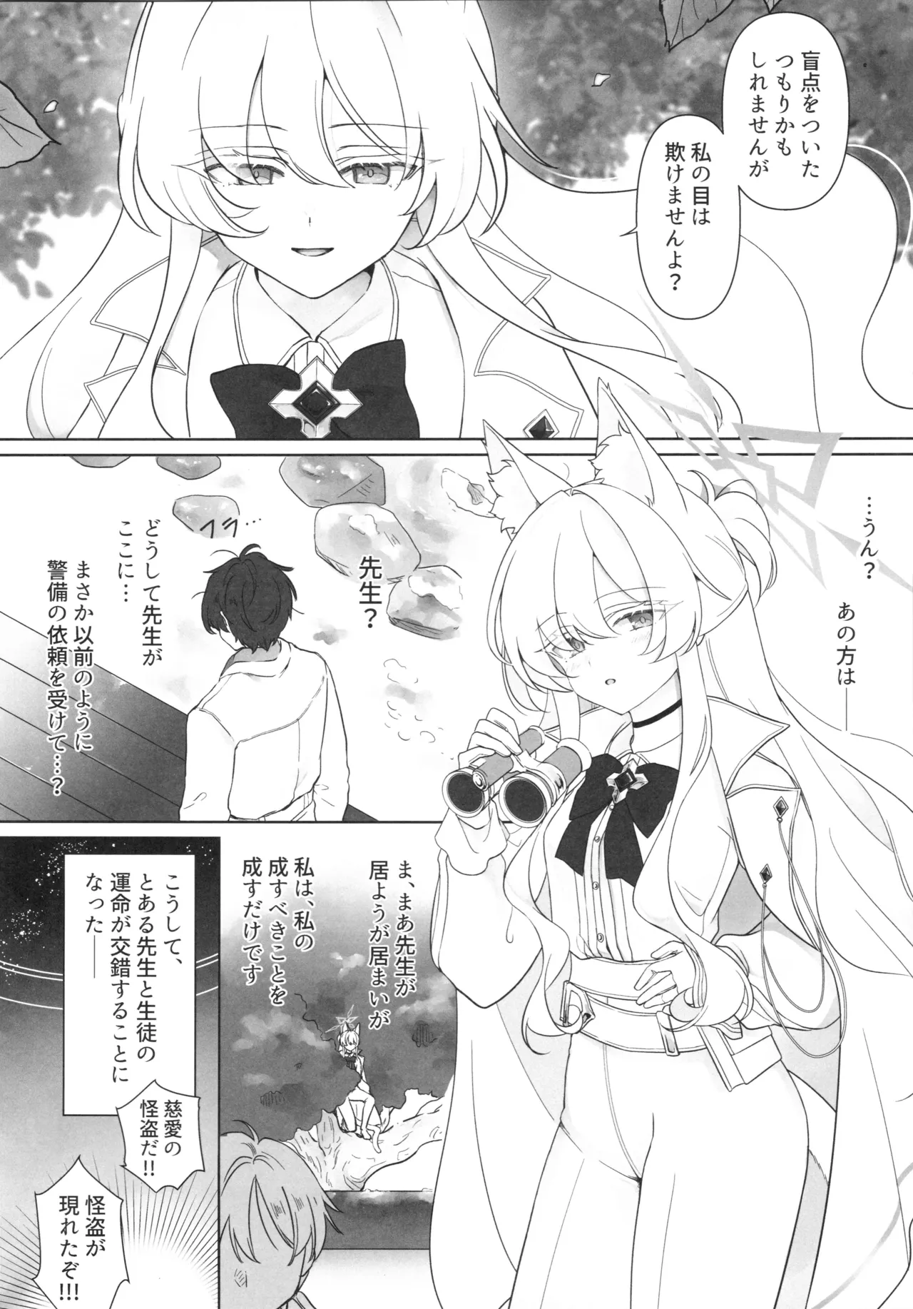 怪盗の本分 - page3