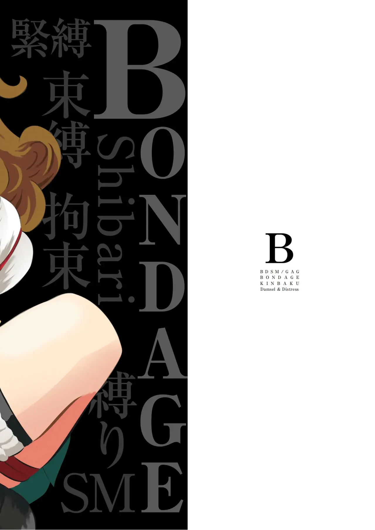 緊縛の本B - page22