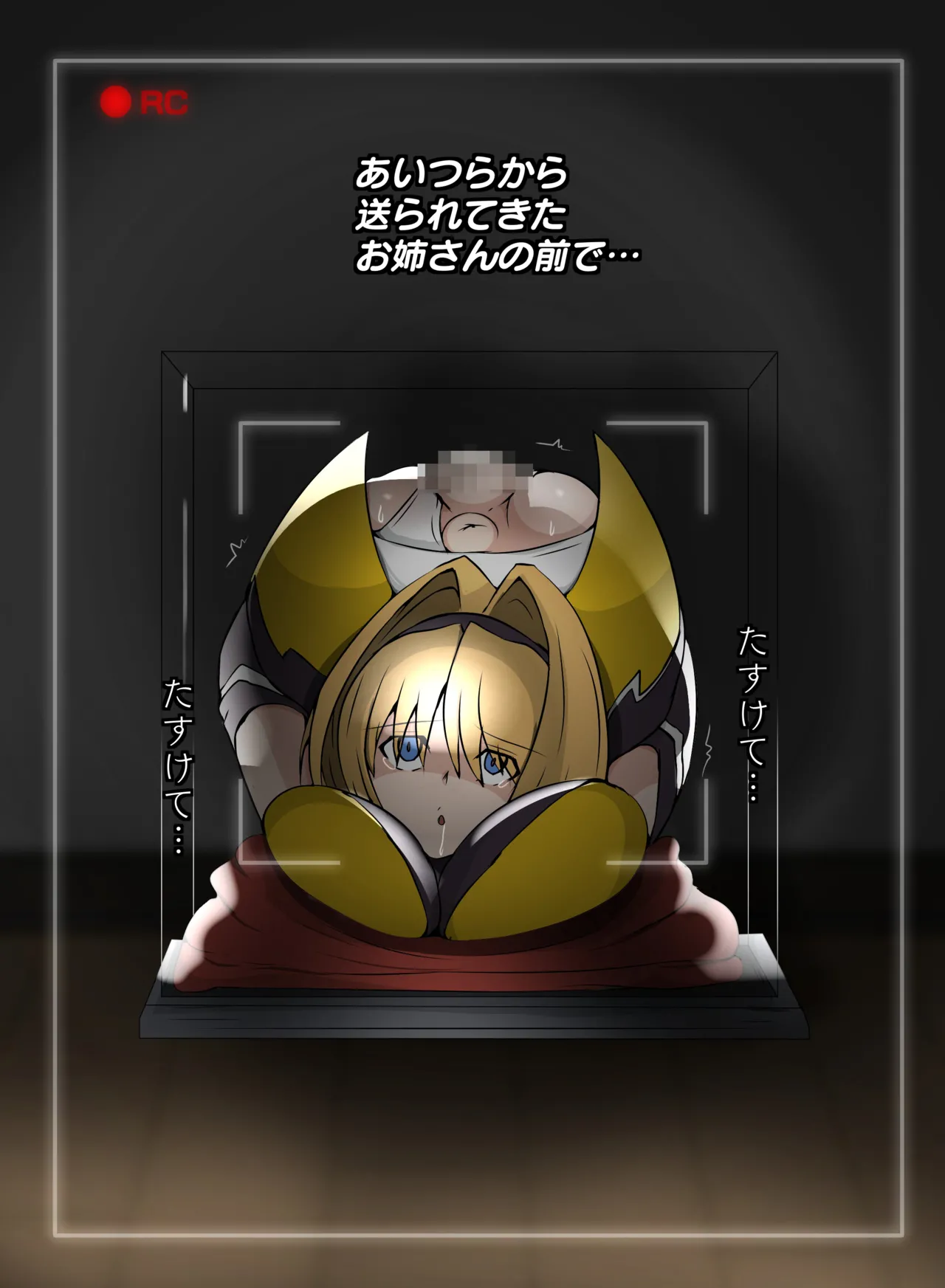 箱化処理される超昂閃忍ハルカ - page14