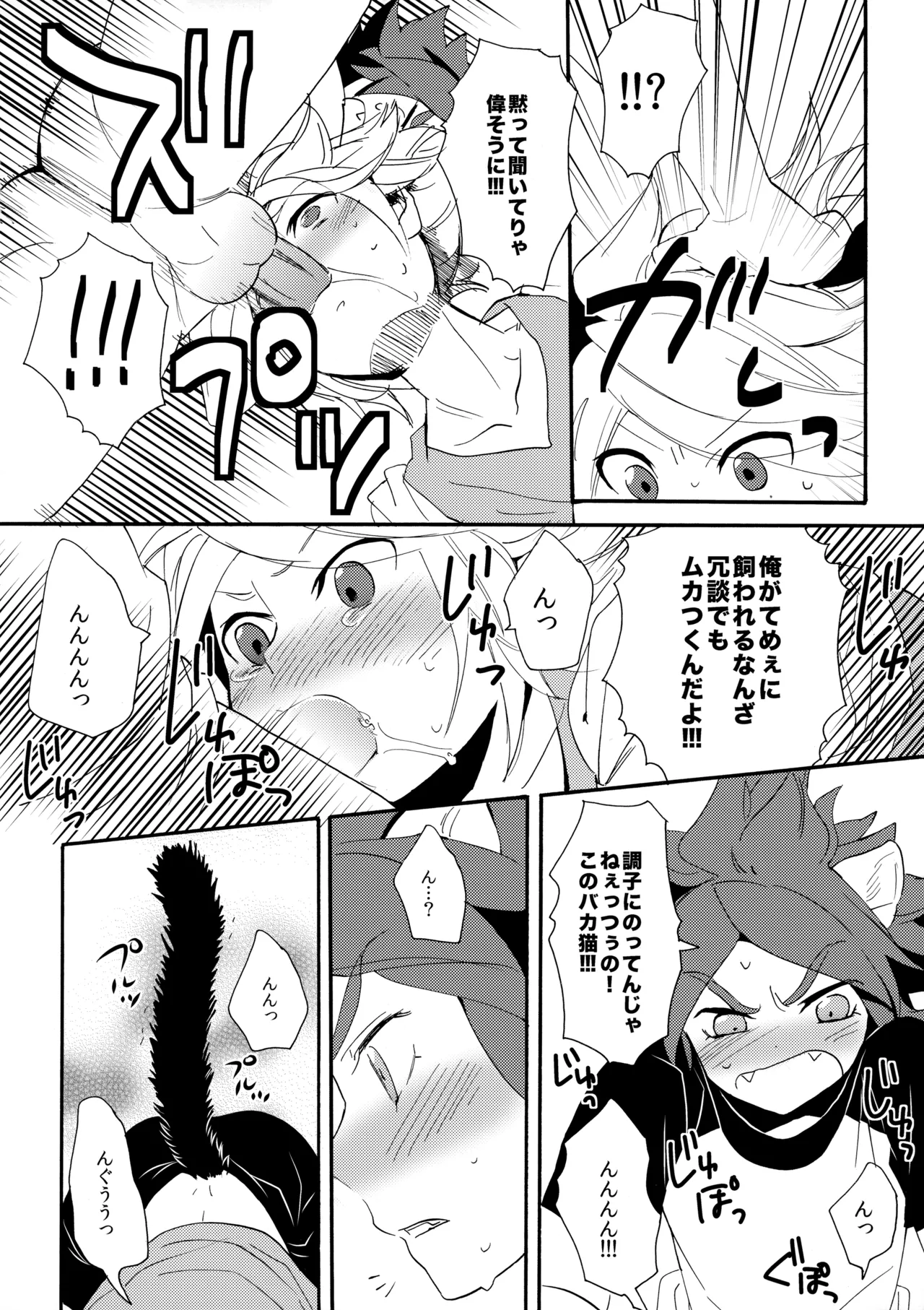 ワンにゃんカオス - page13