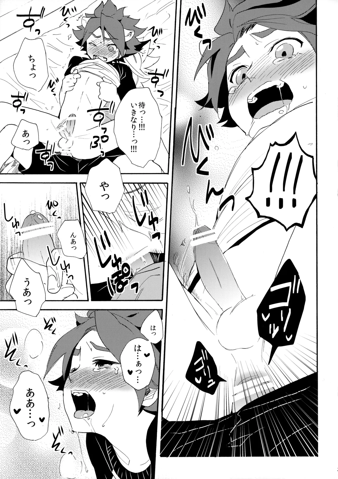 ワンにゃんカオス - page24