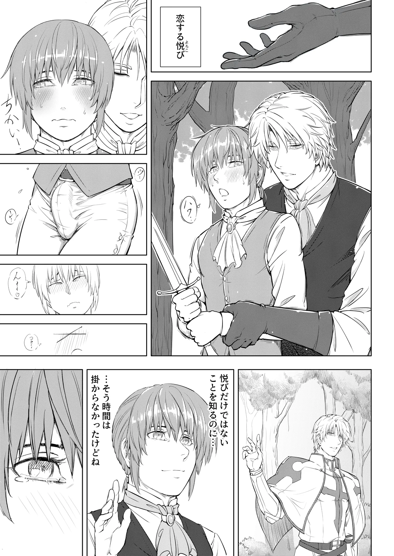 騎士と王子の秘密の夜 - page11