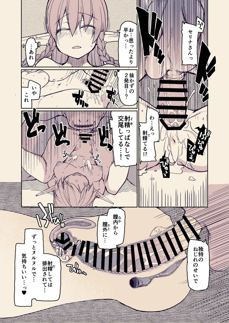 ドスケベエルフの異種姦日記 13 - page12