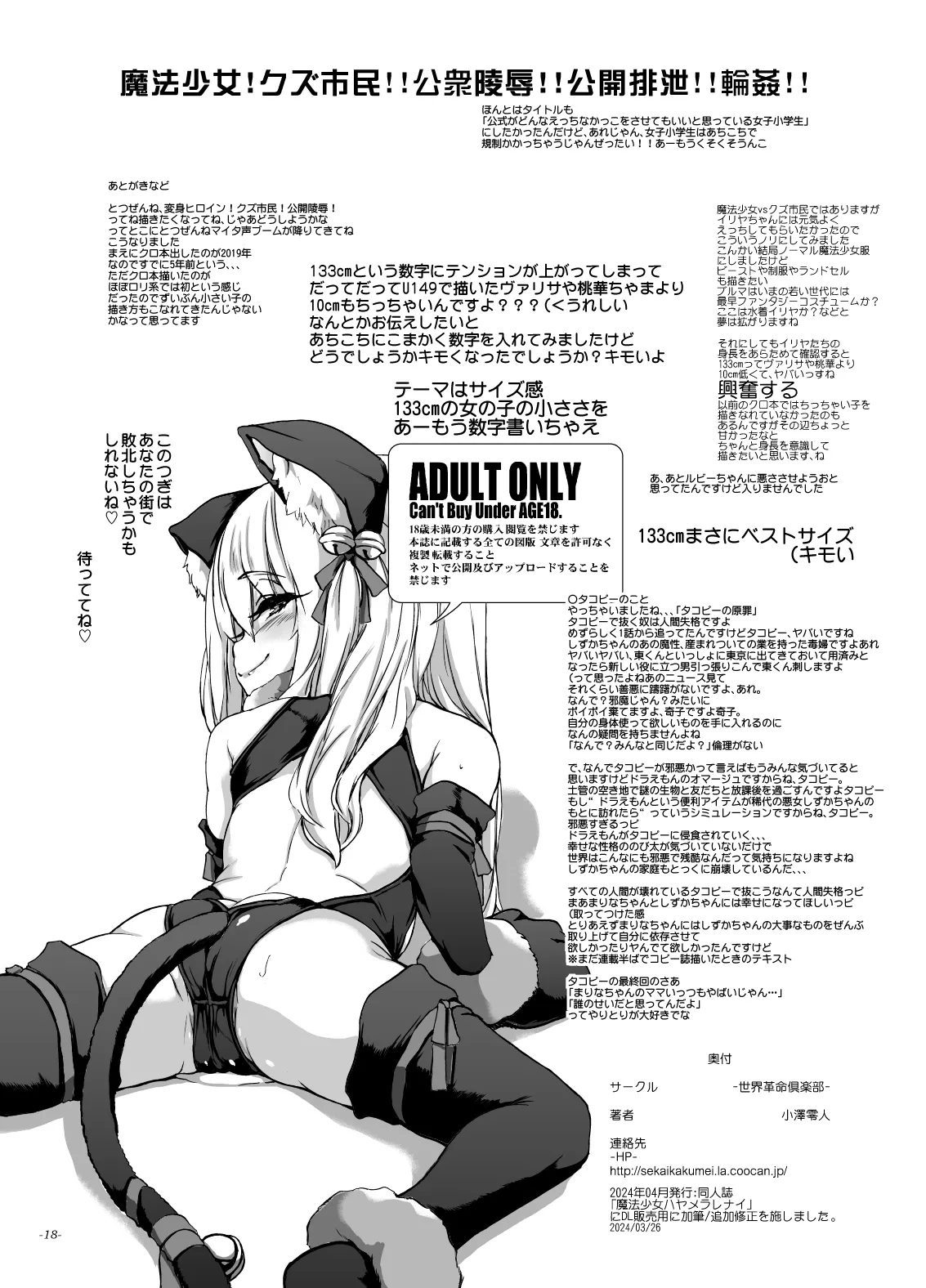 魔法少女ハヤメラレナイ - page17