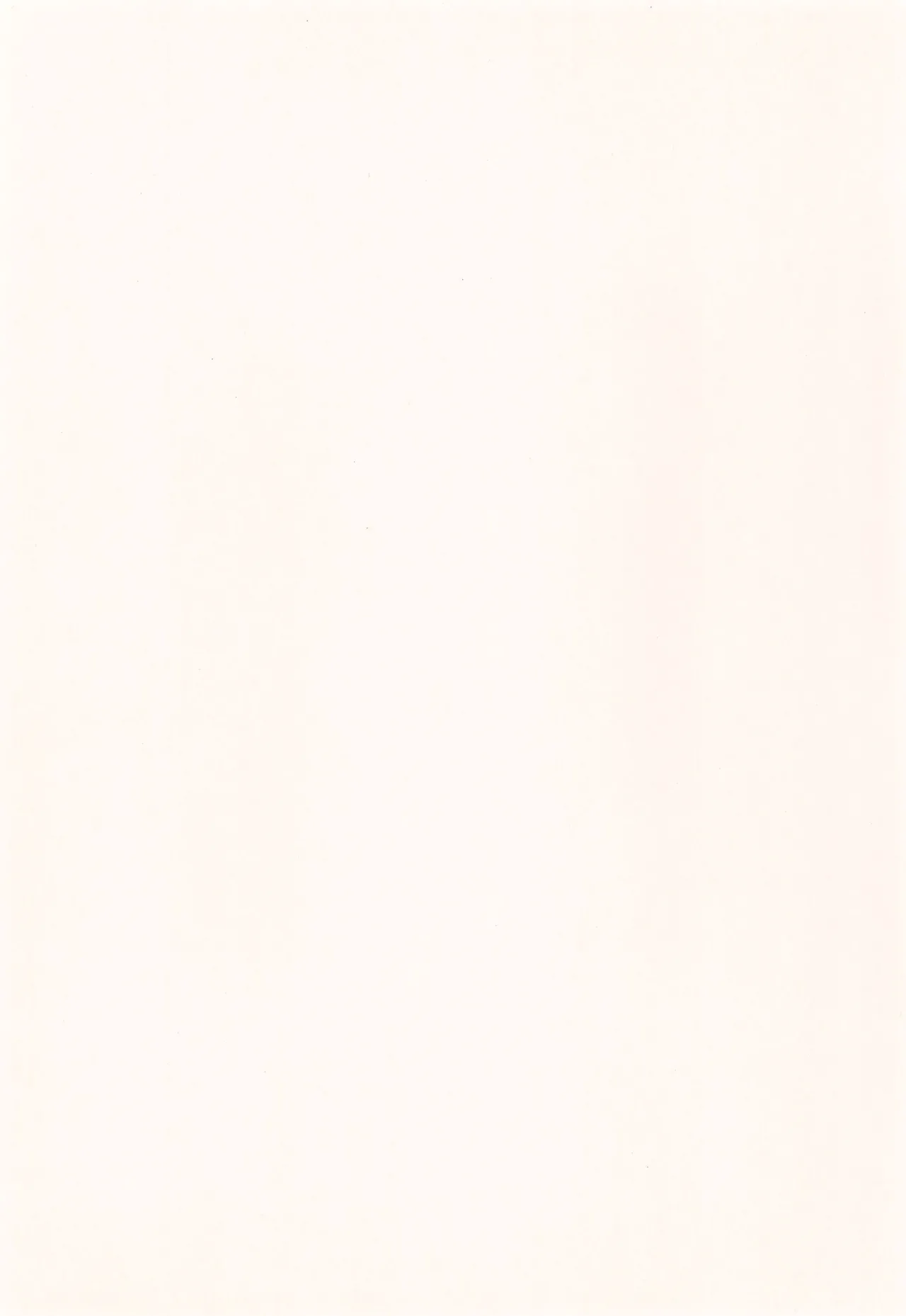 P-STYLE - page37