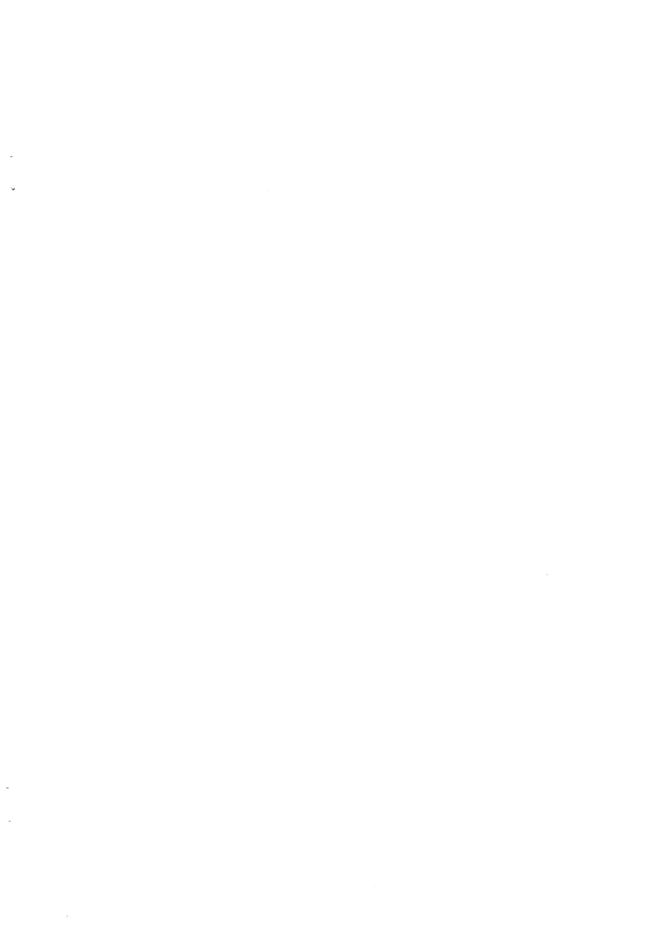 シロとの時間 ～平成最後の・・・編～ - page2