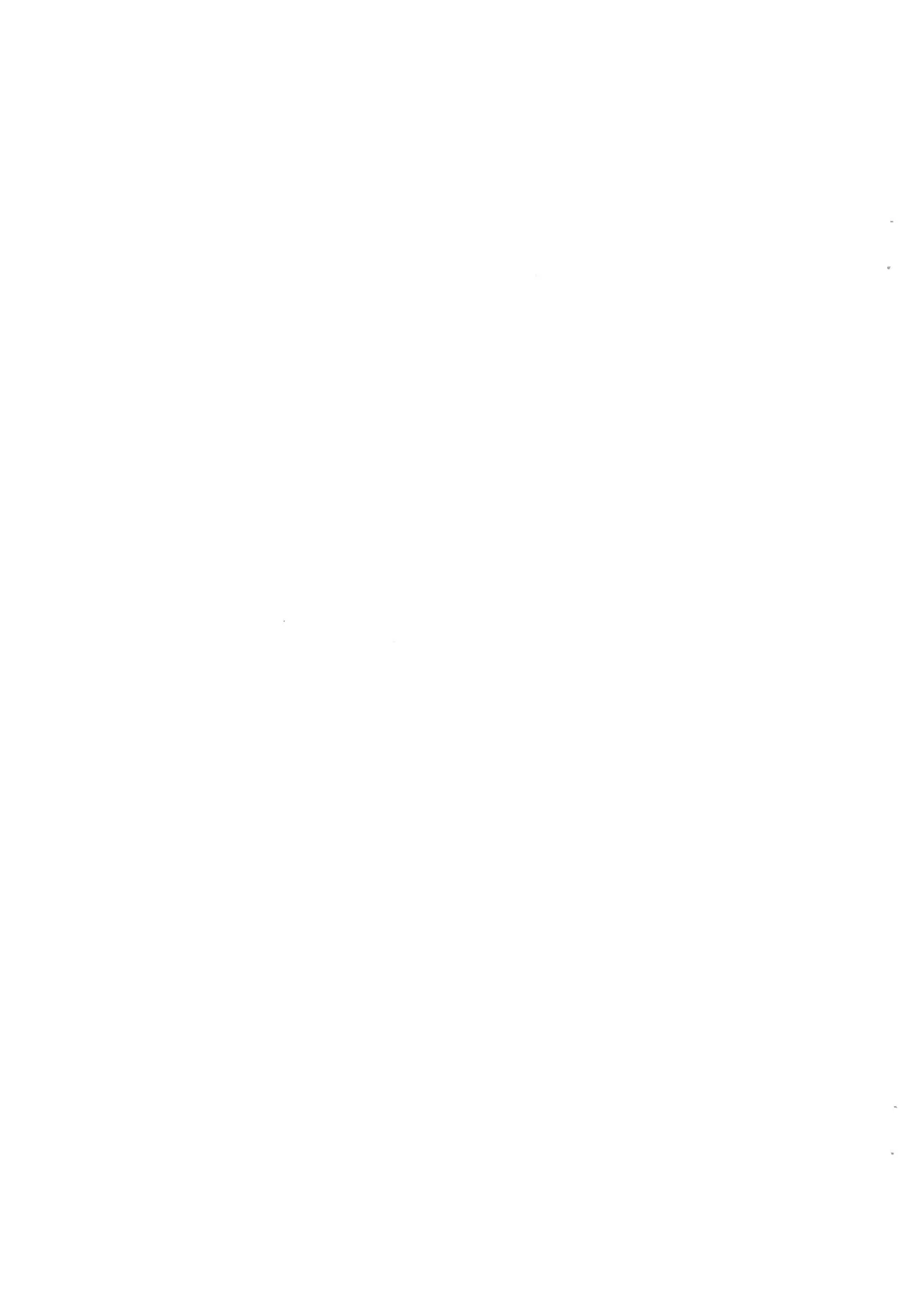 シロとの時間 ～平成最後の・・・編～ - page3