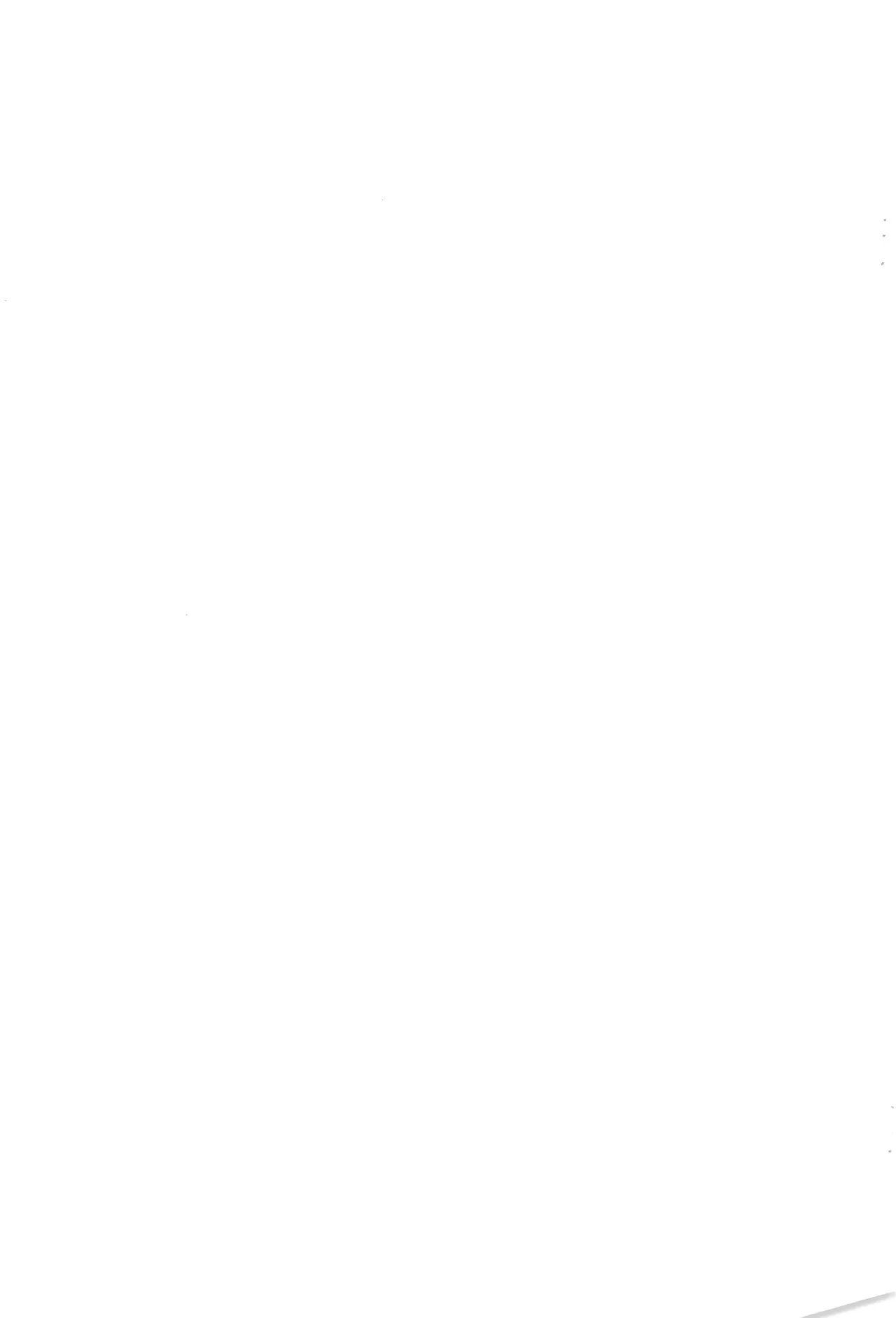 シロとの時間 ～平成最後の・・・編～ - page9