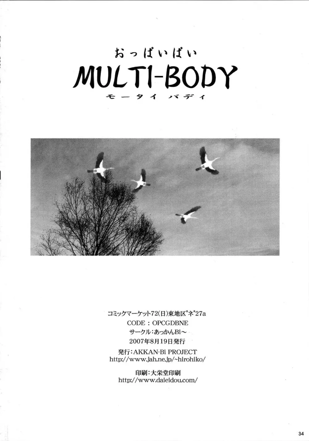 MULTI-BODY - page34