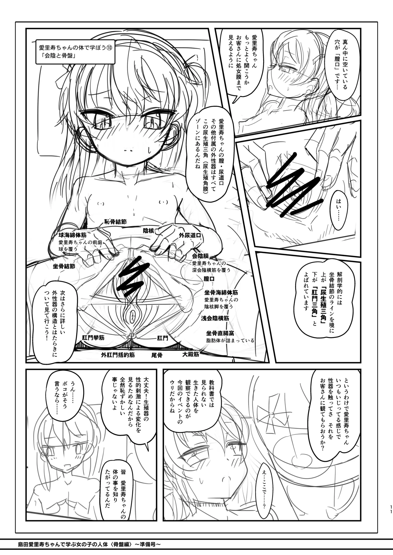 島田愛里寿ちゃんで学ぶ女の子の人体〈骨盤編〉下巻［準備号］ - page11