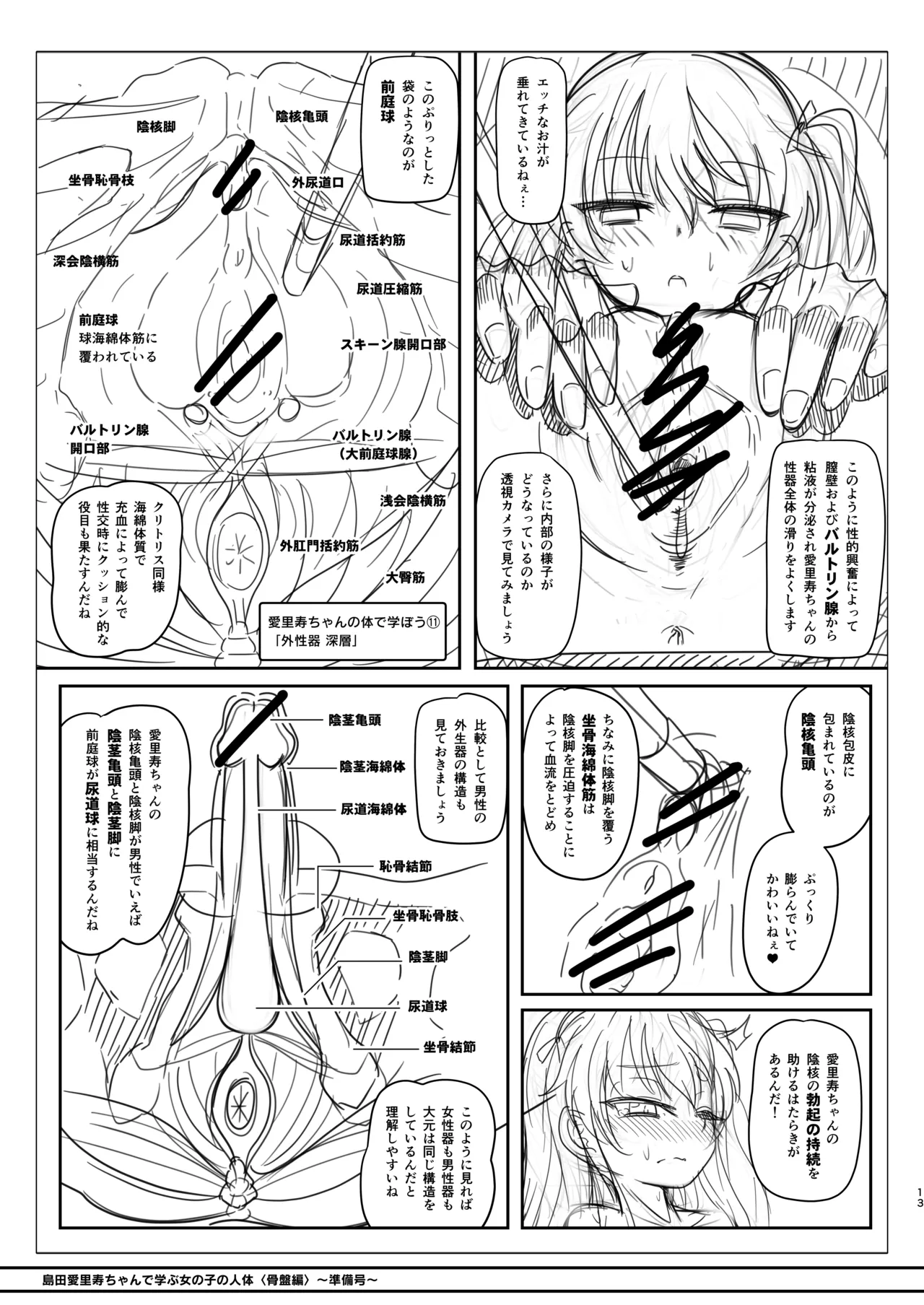 島田愛里寿ちゃんで学ぶ女の子の人体〈骨盤編〉下巻［準備号］ - page13