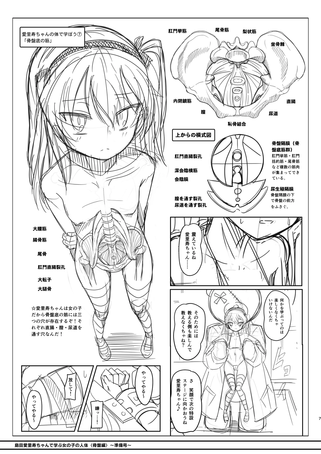 島田愛里寿ちゃんで学ぶ女の子の人体〈骨盤編〉下巻［準備号］ - page7