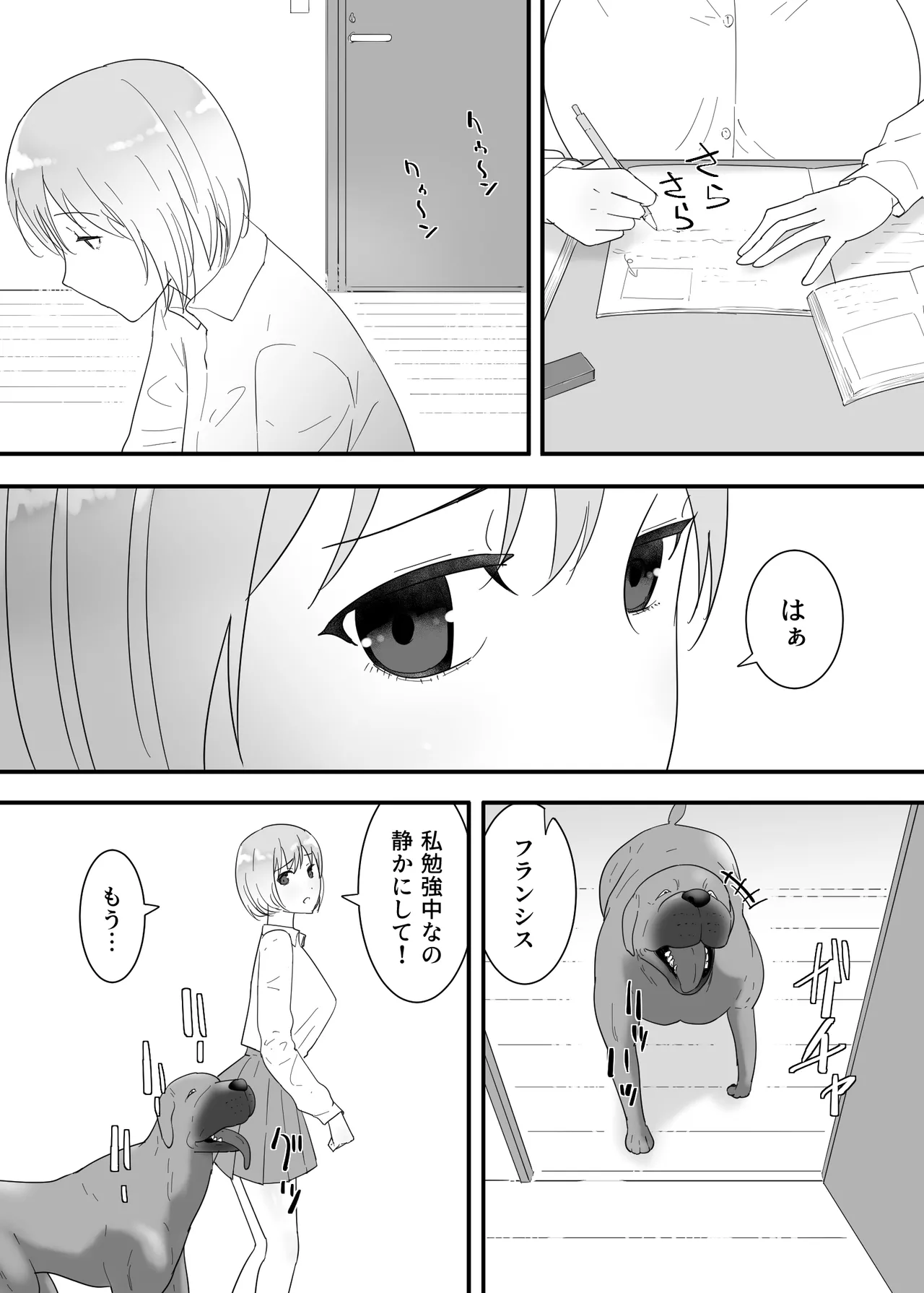 フランシスは女子校生に種付けしたいっ！ - page13