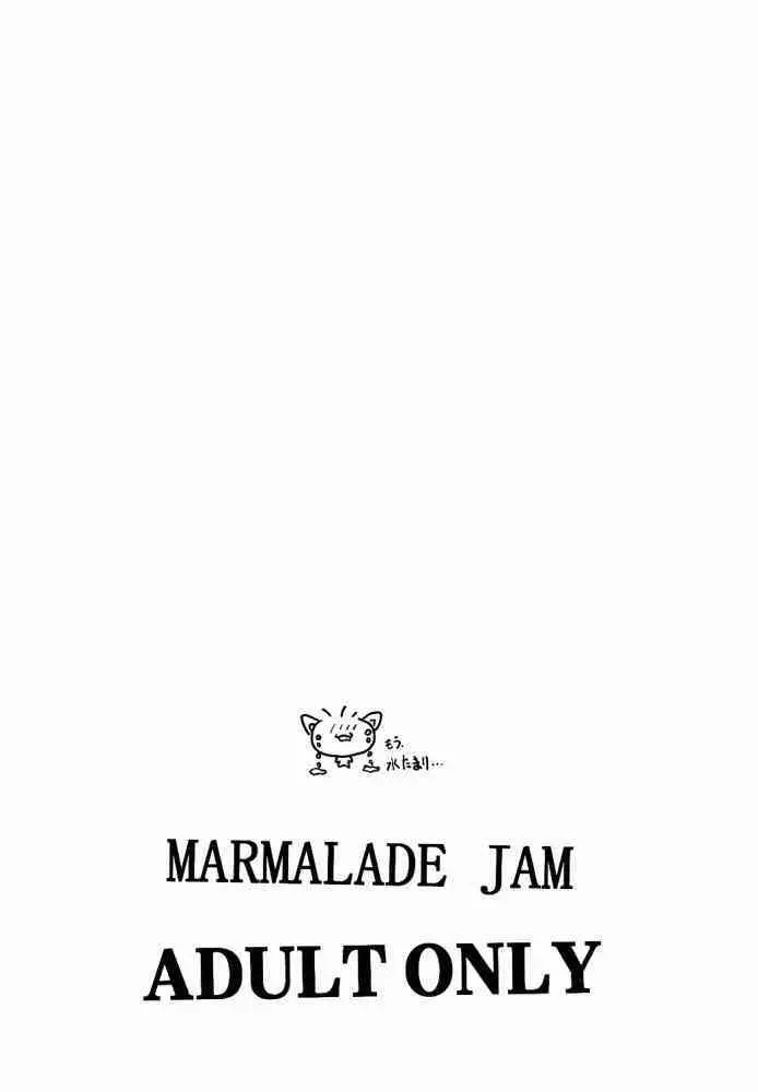 Marmalade Jam - page16