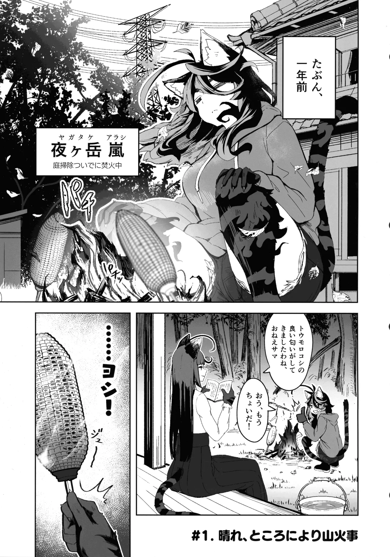晴れ、ときどき嵐 - page5
