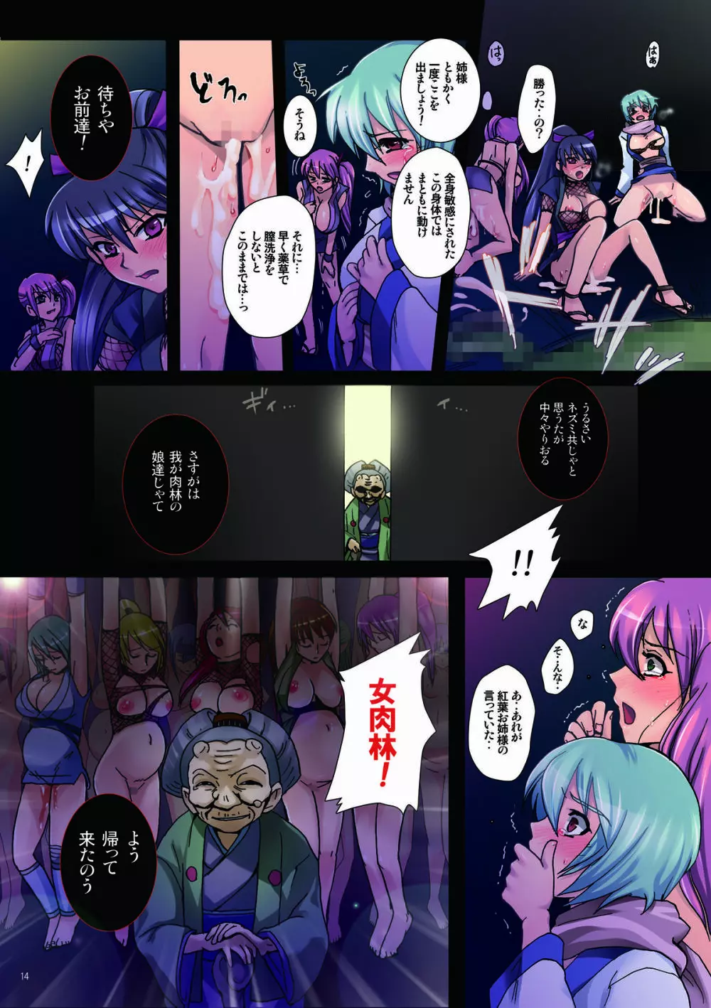 女肉忍法帳～第一夜 肉林の娘～ - page14