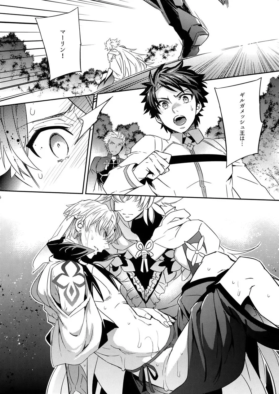 Shokushu × Casgill – Fate/ Grand Order dj [JP] - page23