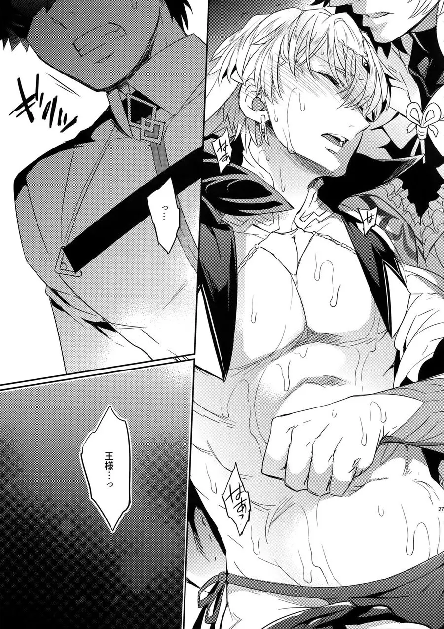 Shokushu × Casgill – Fate/ Grand Order dj [JP] - page25