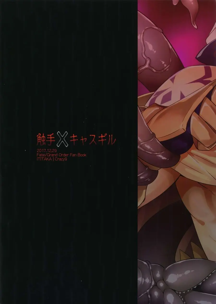 Shokushu × Casgill – Fate/ Grand Order dj [JP] - page29
