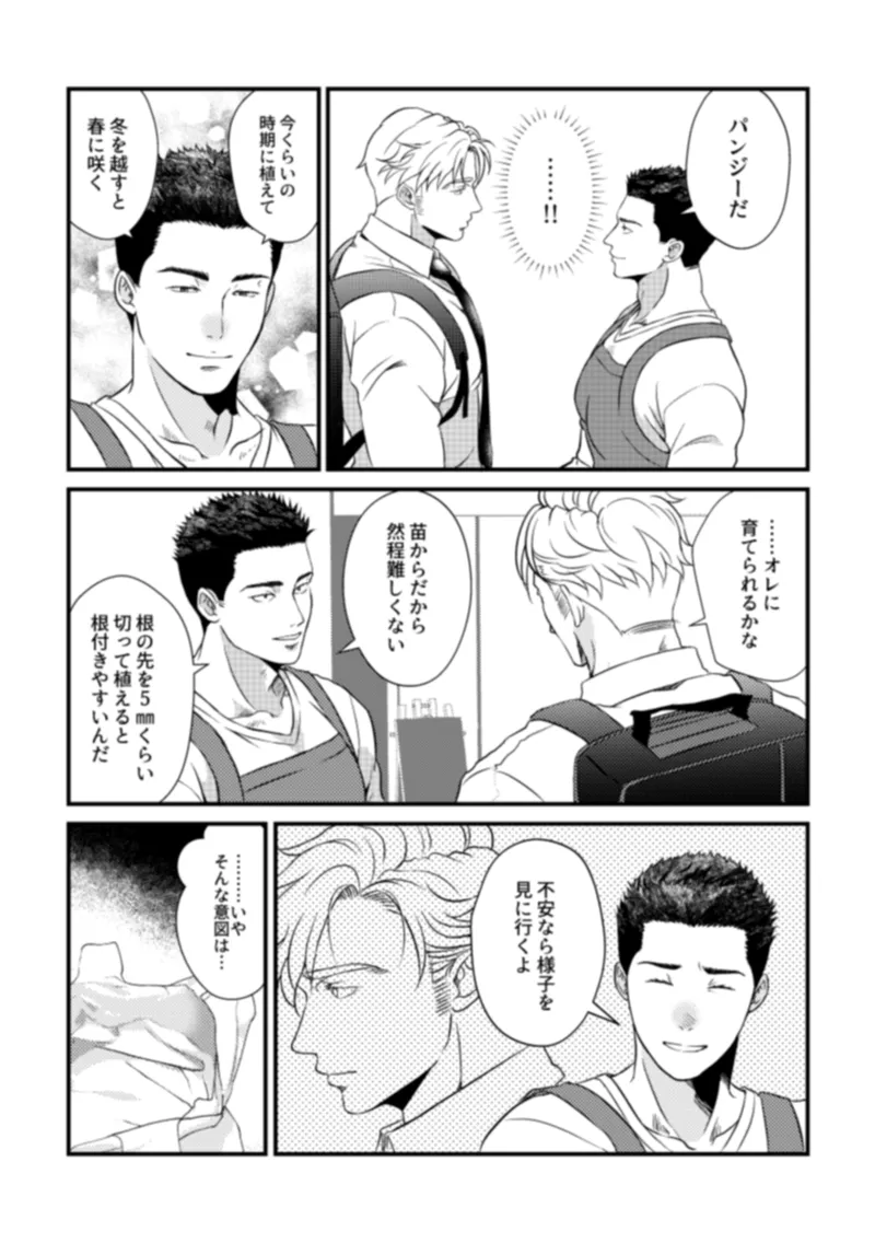 - Pansies in love - page22