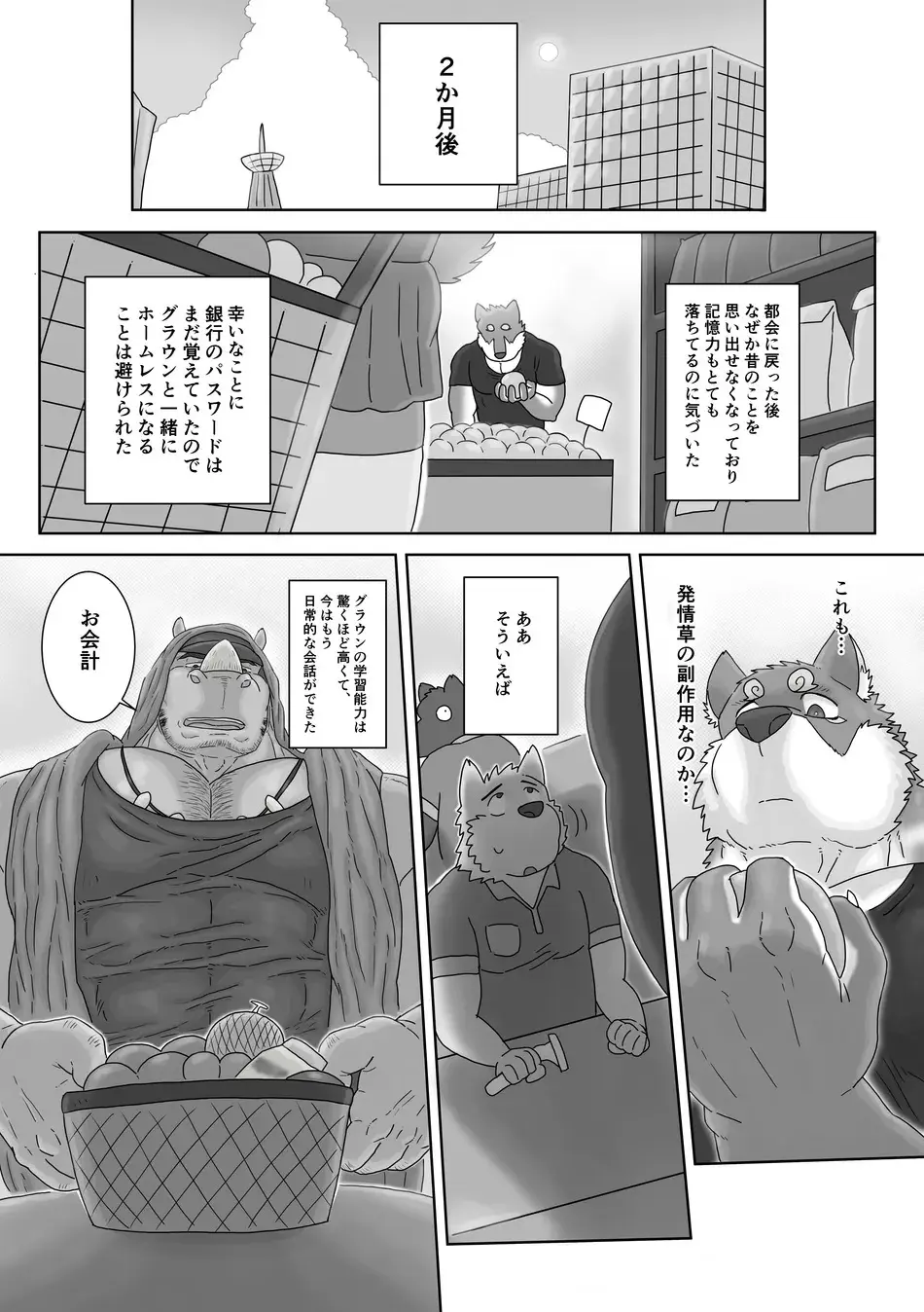 The Wild Secluded Region 3 [JP] - page39