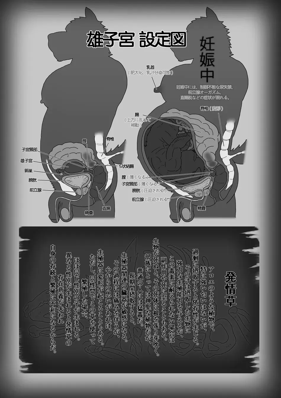 The Wild Secluded Region 3 [JP] - page56