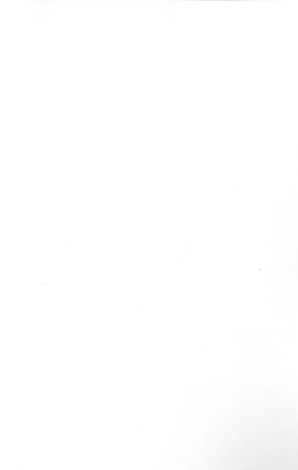 [Offset-ban] Inu Na Ani To Asobu Hon - page19