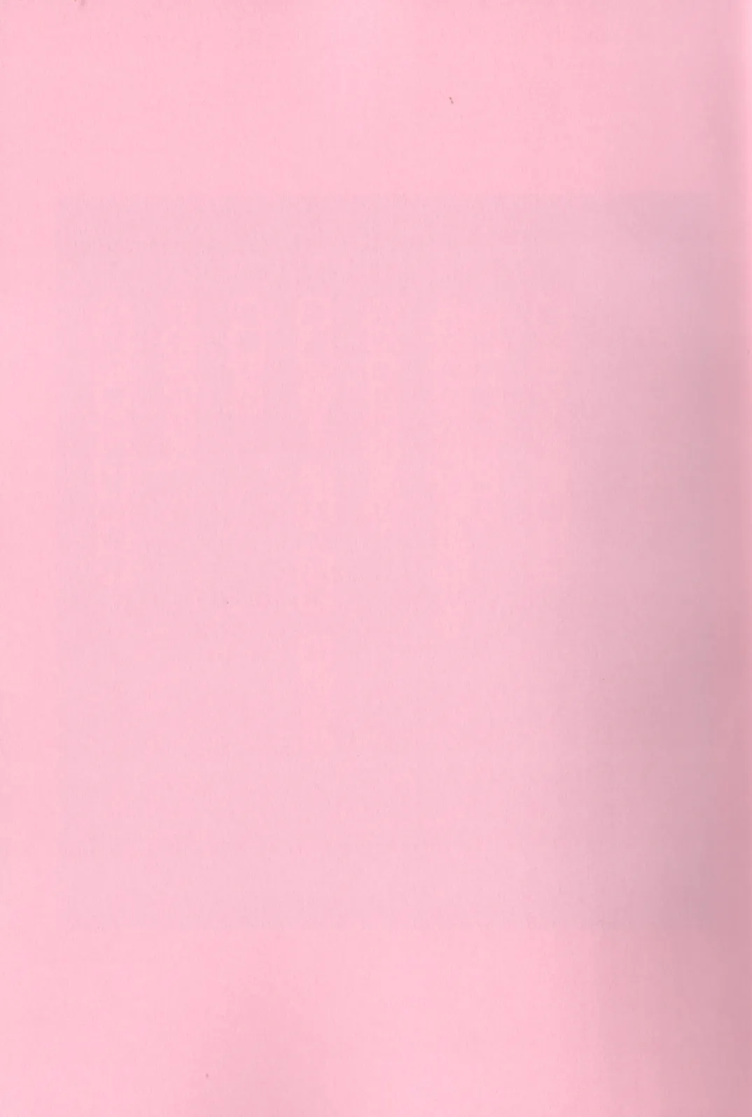 Now that I’ve got a futanari, let’s make a baby! - page3