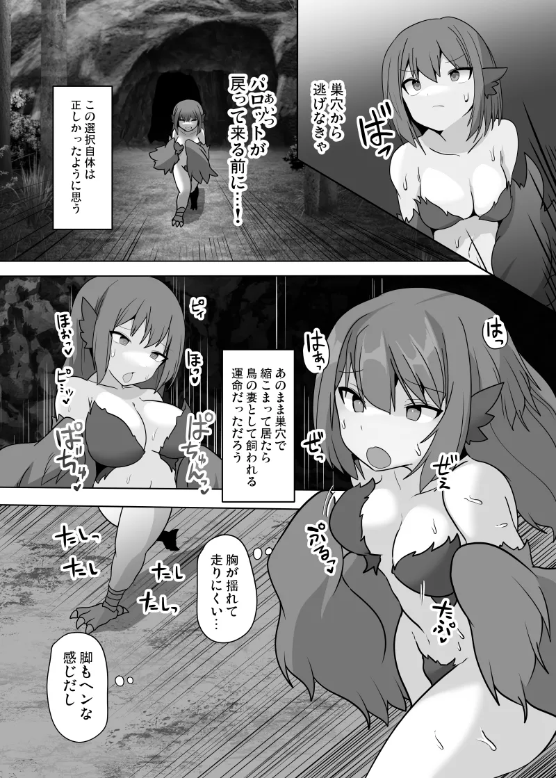 TSF魔物娘 ~異世界でハーピィに変えられて~ - page11