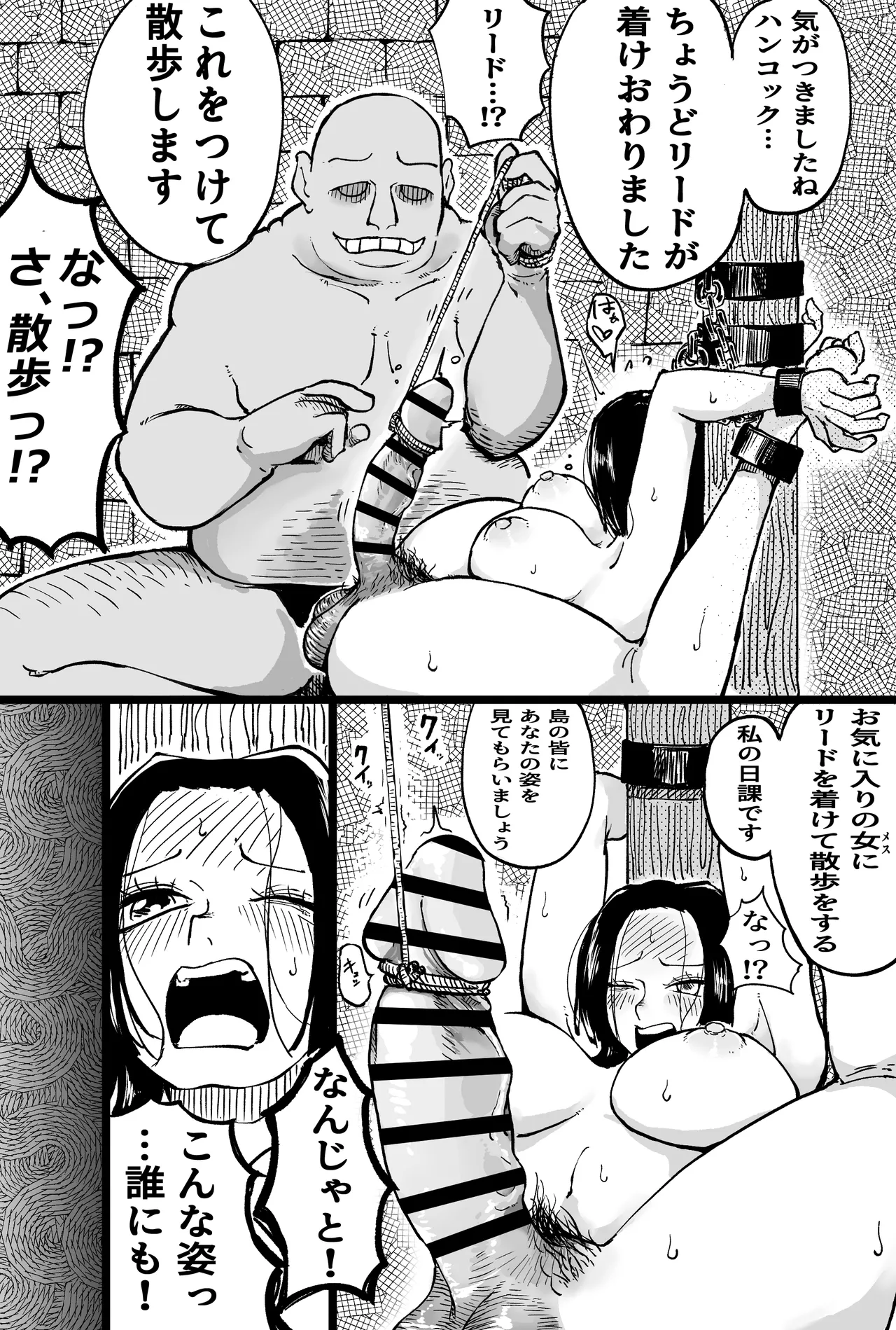 ハチノスで変態能力者に捕まるハンコック - page5