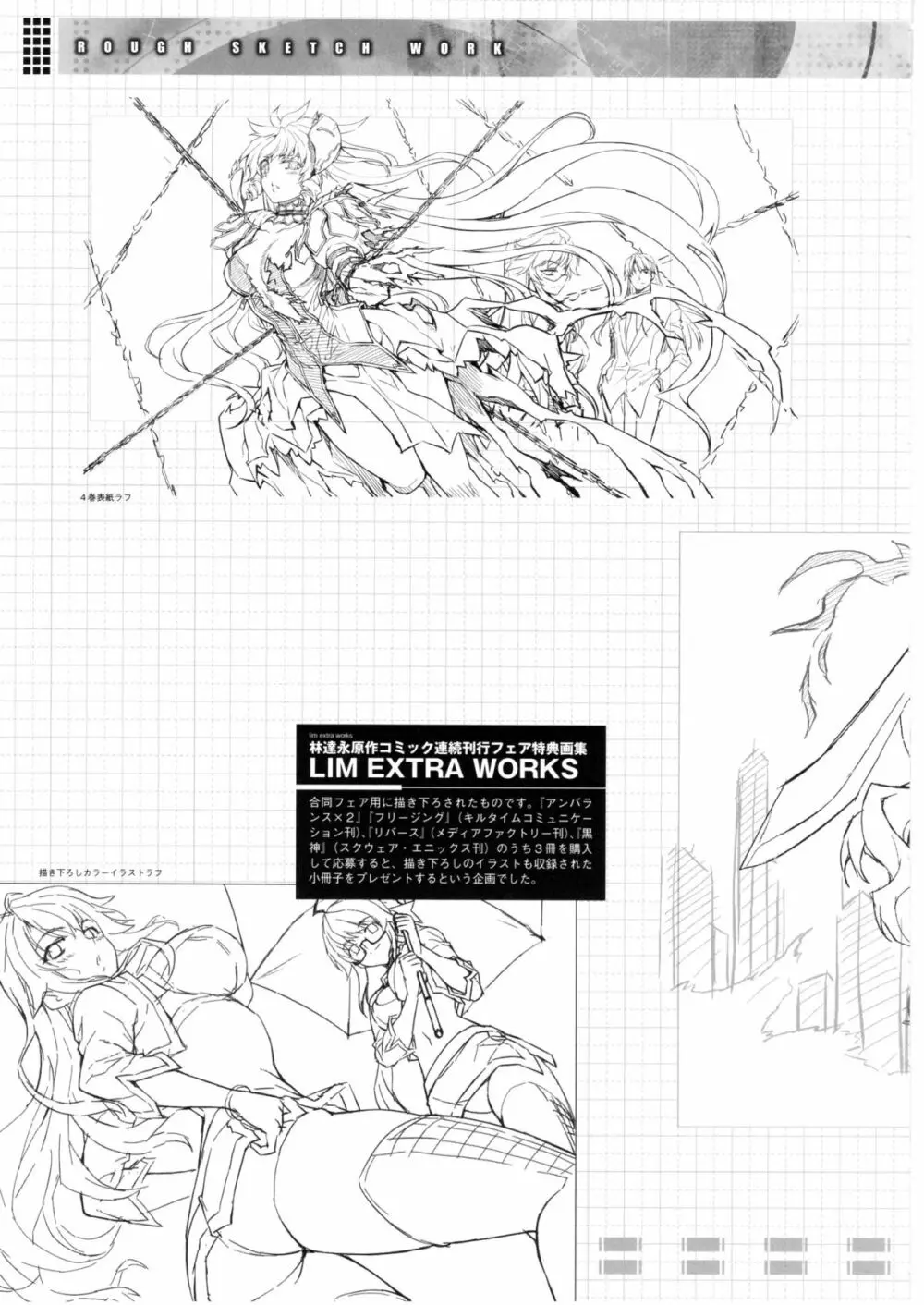 CROSS MAKE 2010 - page27