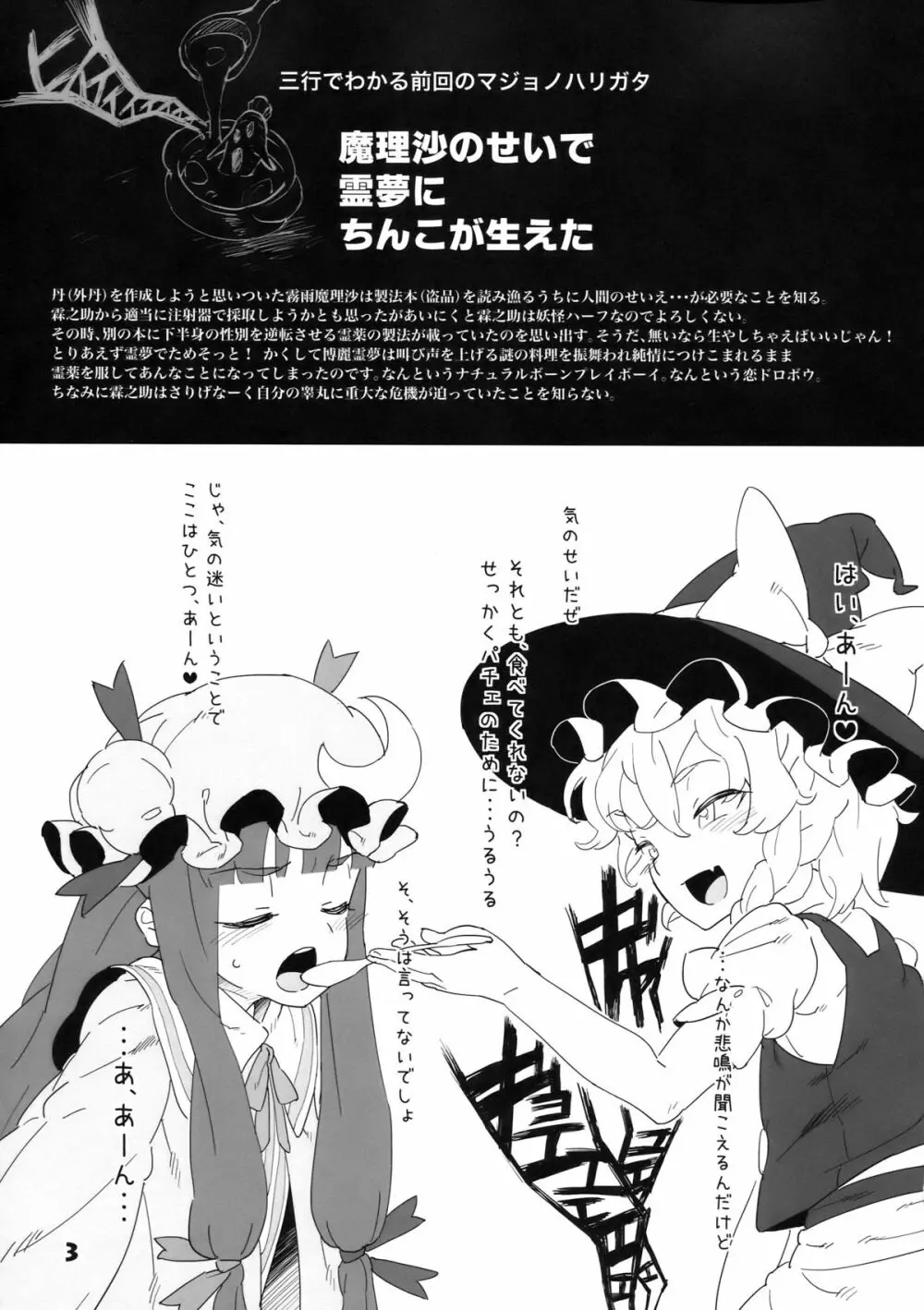 D.P.C.H.C.N.H.本 - page3